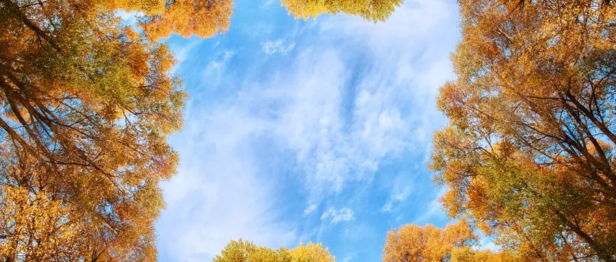 1696932482978210.jpeg 1696932482978210.jpeg